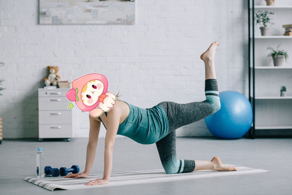 ���ݼ�����������