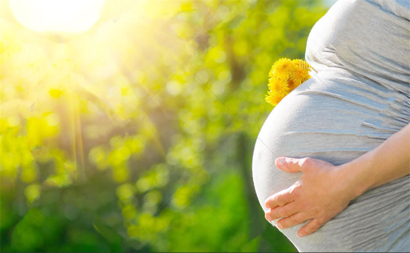 ���������ĳɳ������